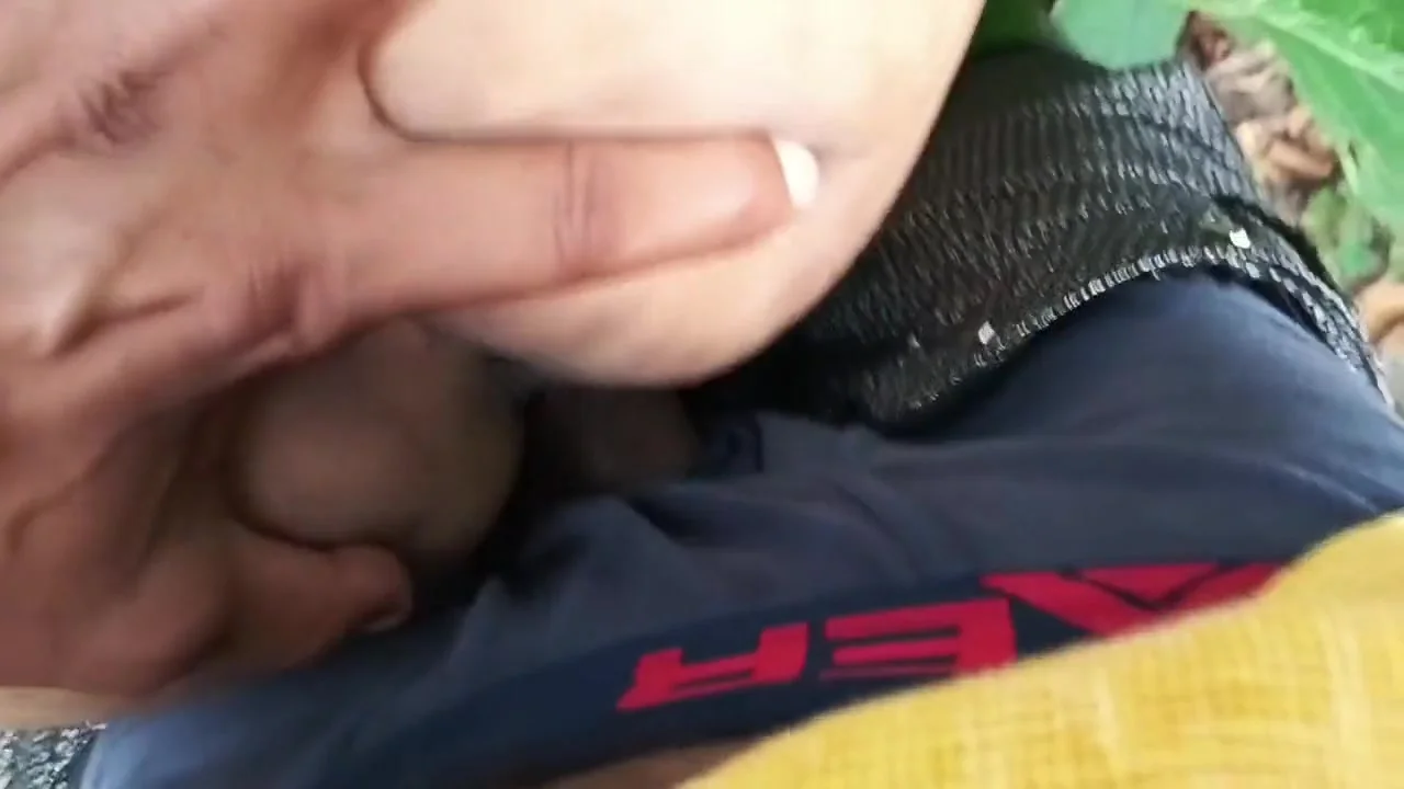 Desi Stepmom And Sun Forests Fucking