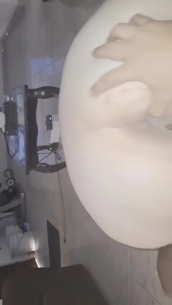 My Neighbor Visits Me