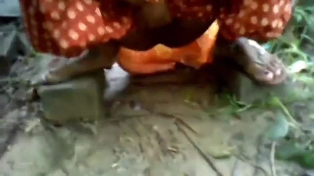 Rina Bhabhi Ki Chut Me Lund