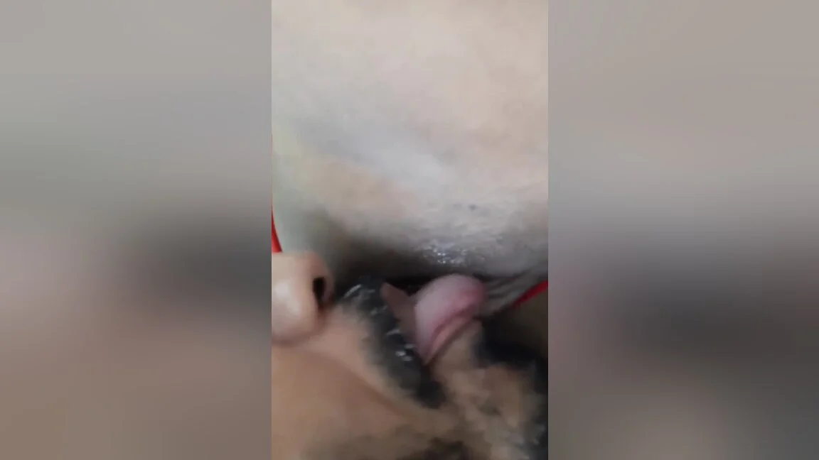 Today Exclusive-horny Bengali Couple Blowjob And Fucking 10