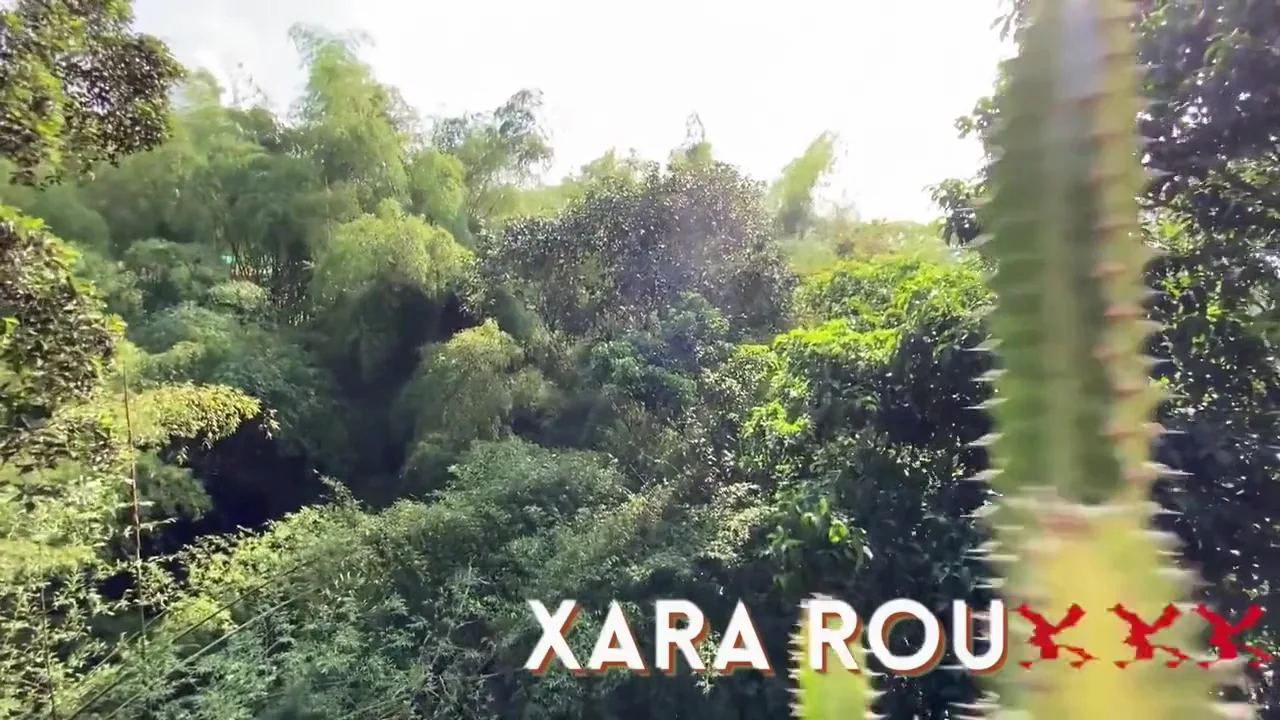 Casi Me Ven Tener Sexo Con Mi Madrastra En Una Ducha Libre Lol