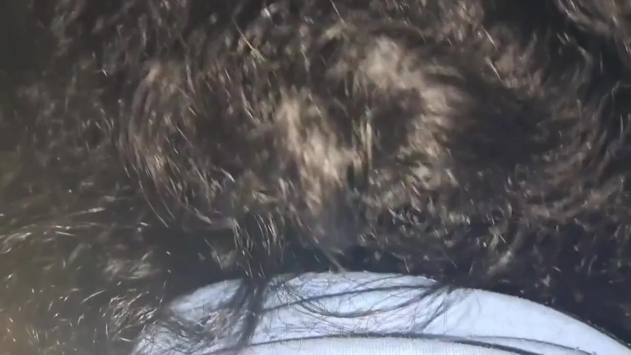 Indian Randi Bhabhi Ne Apni Devar Ka Lund Uchal Uchal Kar With Li Ya