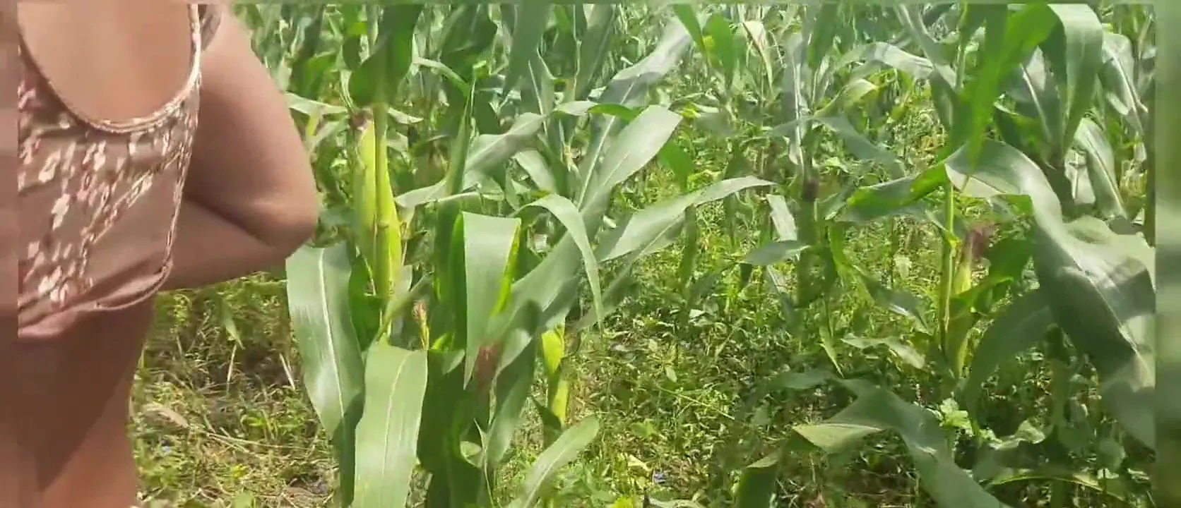 Stepsister-in-law Persuaded Stepbrother-in-law To Have Sex By Taking Off Her Clothes In Front Of Her Stepbrother-in-law In The Open Field