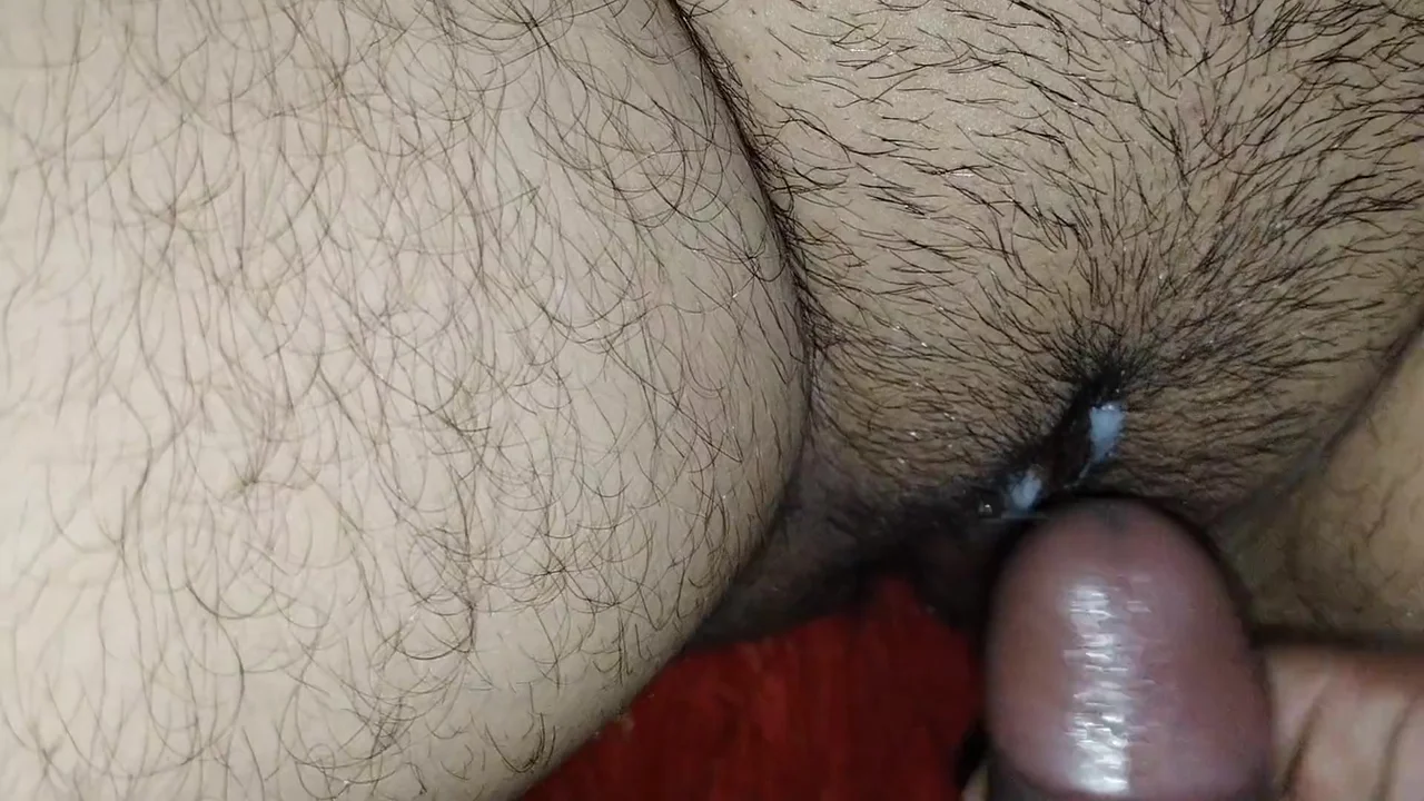 Cream Pie Compilation