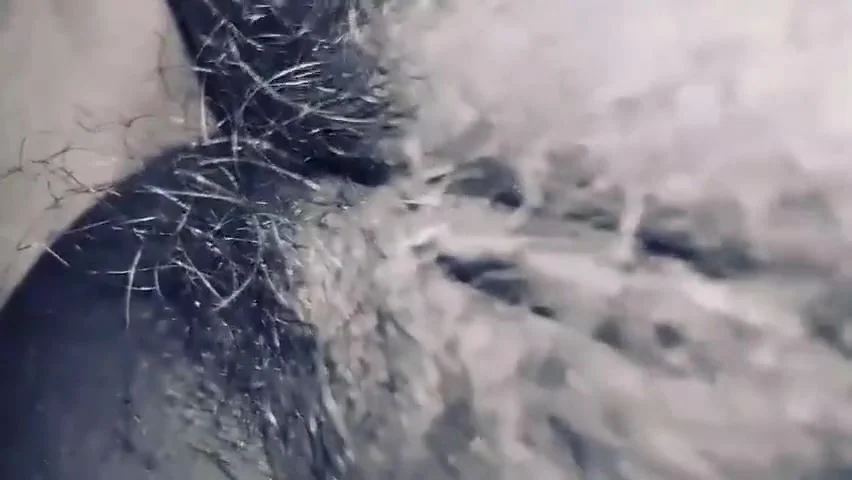 Telugu Hot Aunties Hot Sex Hard With Hindi Sex