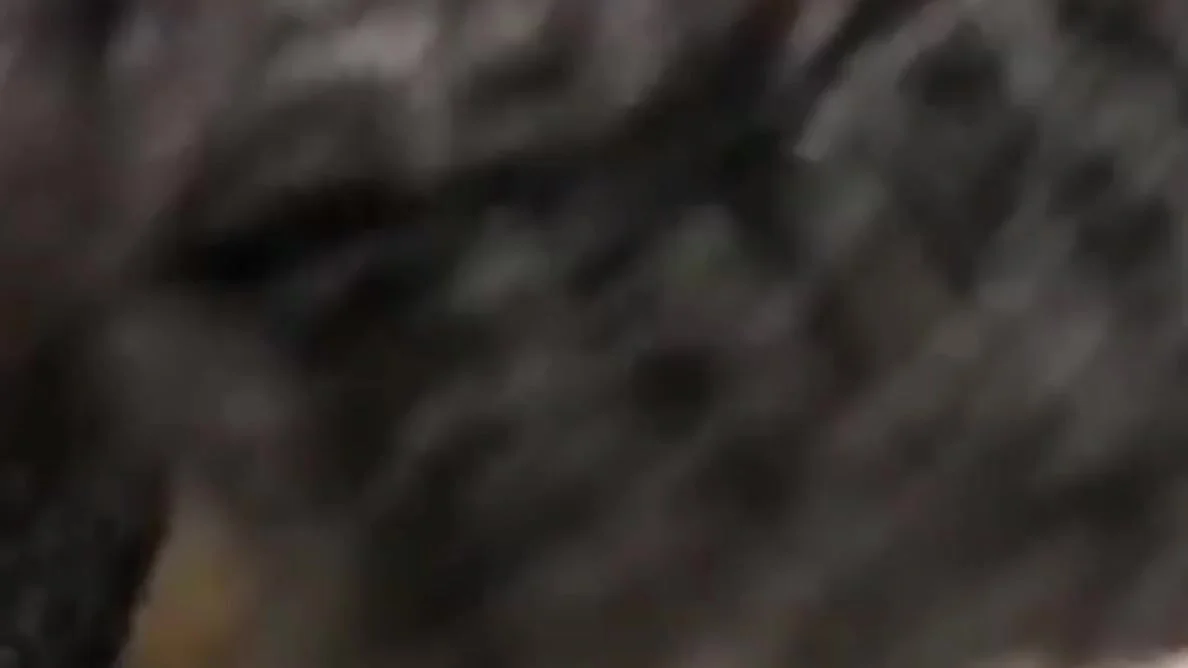 Store Room Me Girlfriend Ko Chod Diya