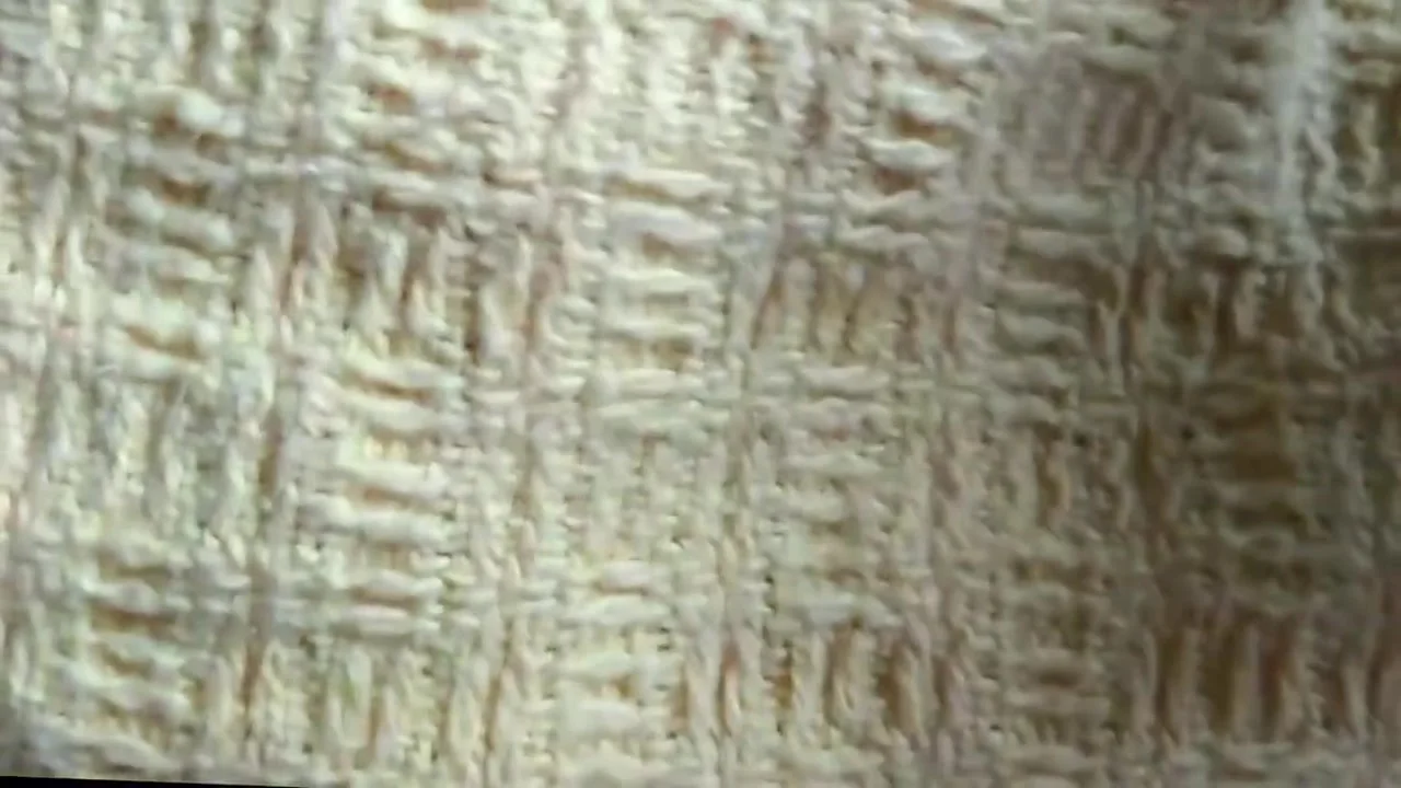 I Broke My Stepsisters Asshole With My Big Dick