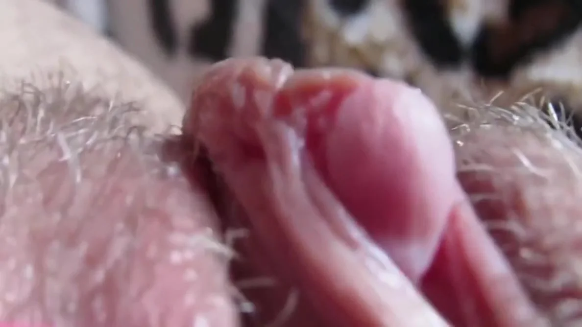 Extreme Close Up Clitoris