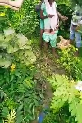 Poor Village Girl Fucked By A Gang In The Forest
