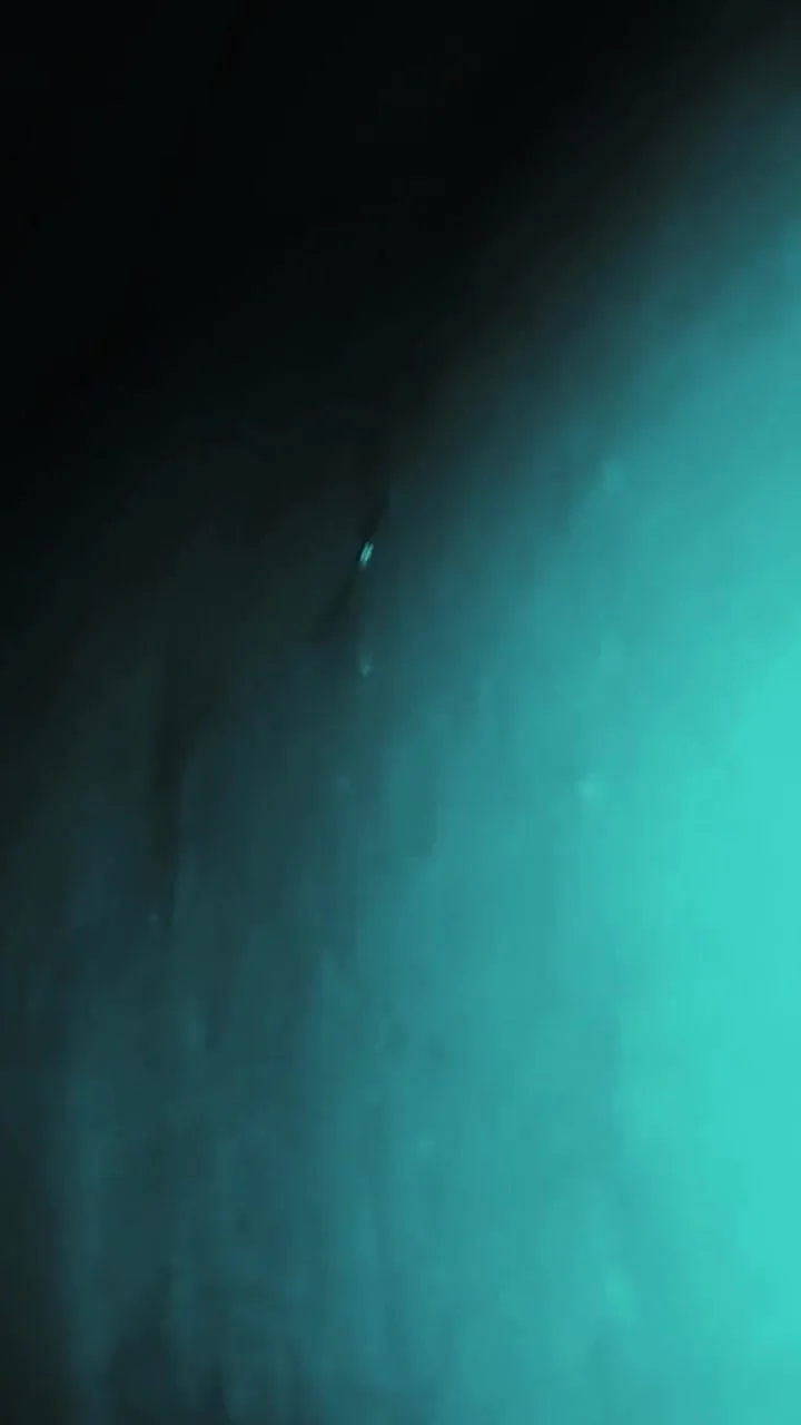 Friends Wife, Ask To Breed