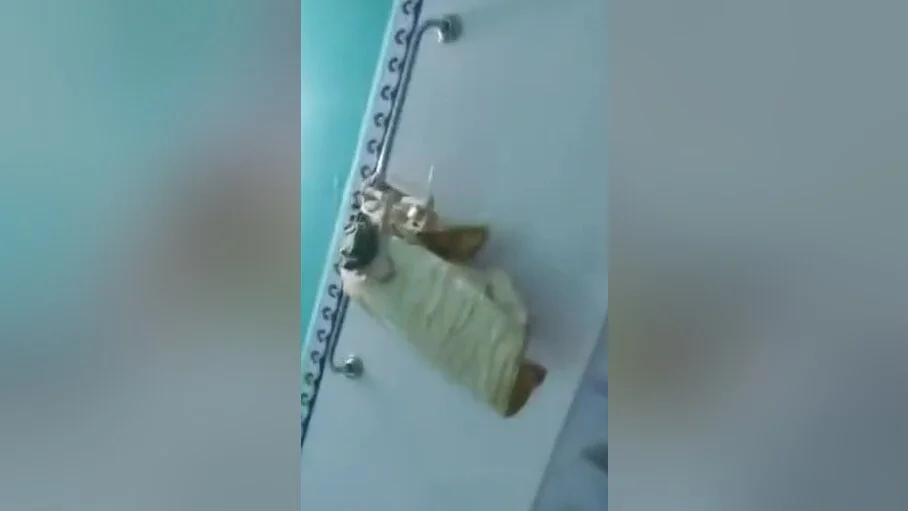 Unsatisfied Bengali Booby Boudi Nude Selfie Mms