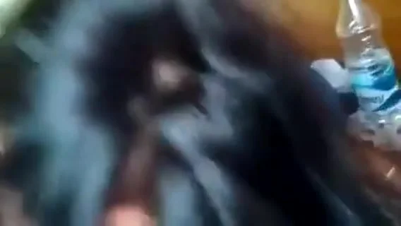 Desi Sali Ki Chudai Apne Jijaji Se