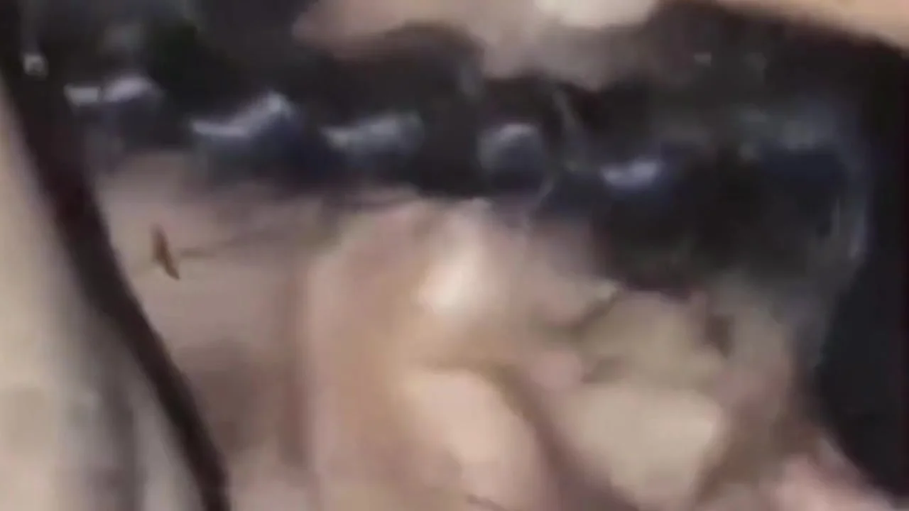 Bengali Desi Girls Sex Video