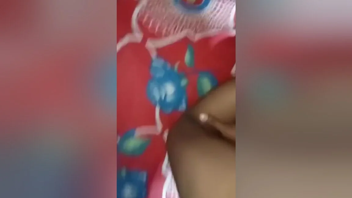 Indian Bull And Arti Vabi Secreat Sex At Morning