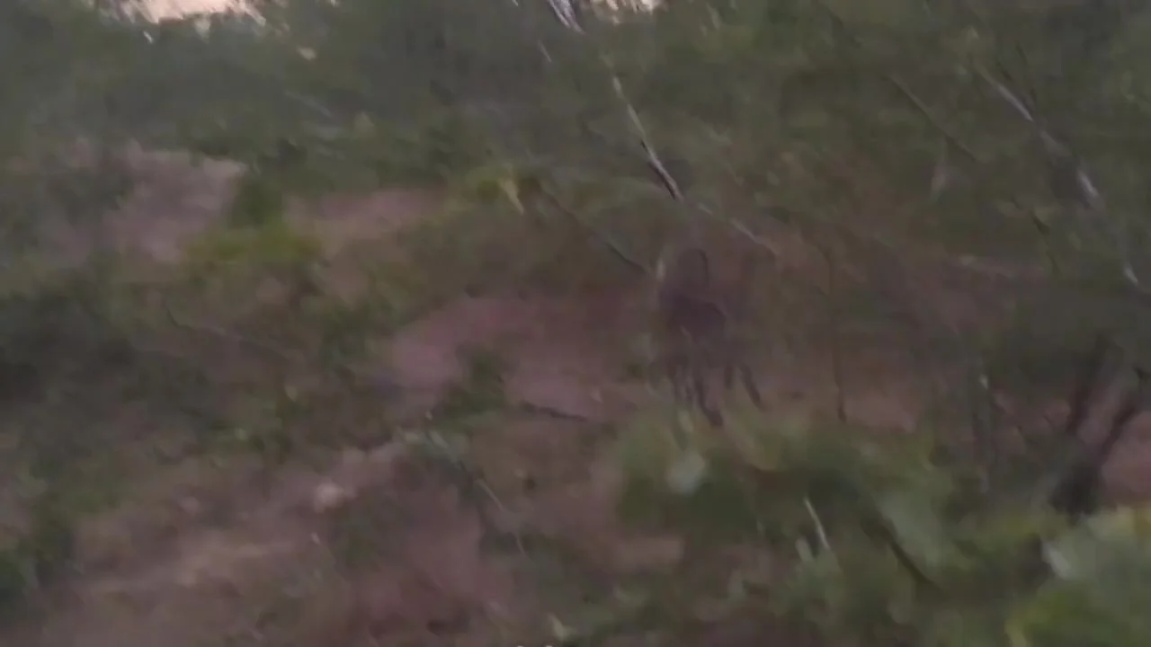 Bhabi Ne Jangal Me Mangal Kar Diya