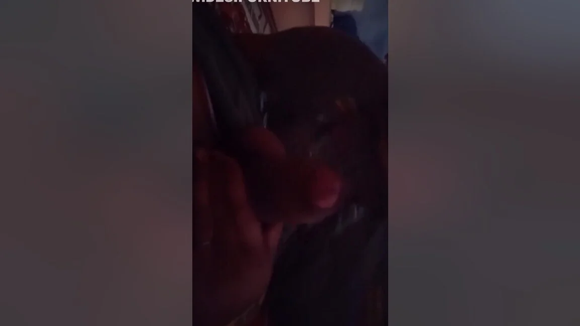 Angela White - Desi Bhabi , Gr Me Akeli Bhabi Ne Land Land Chusa Desi Bhabi Blowjob