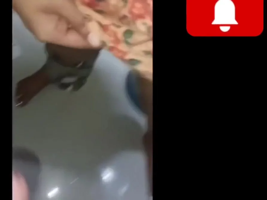 Indian Bhabhi Get A Mauth Fuck And Cum In Big Ass