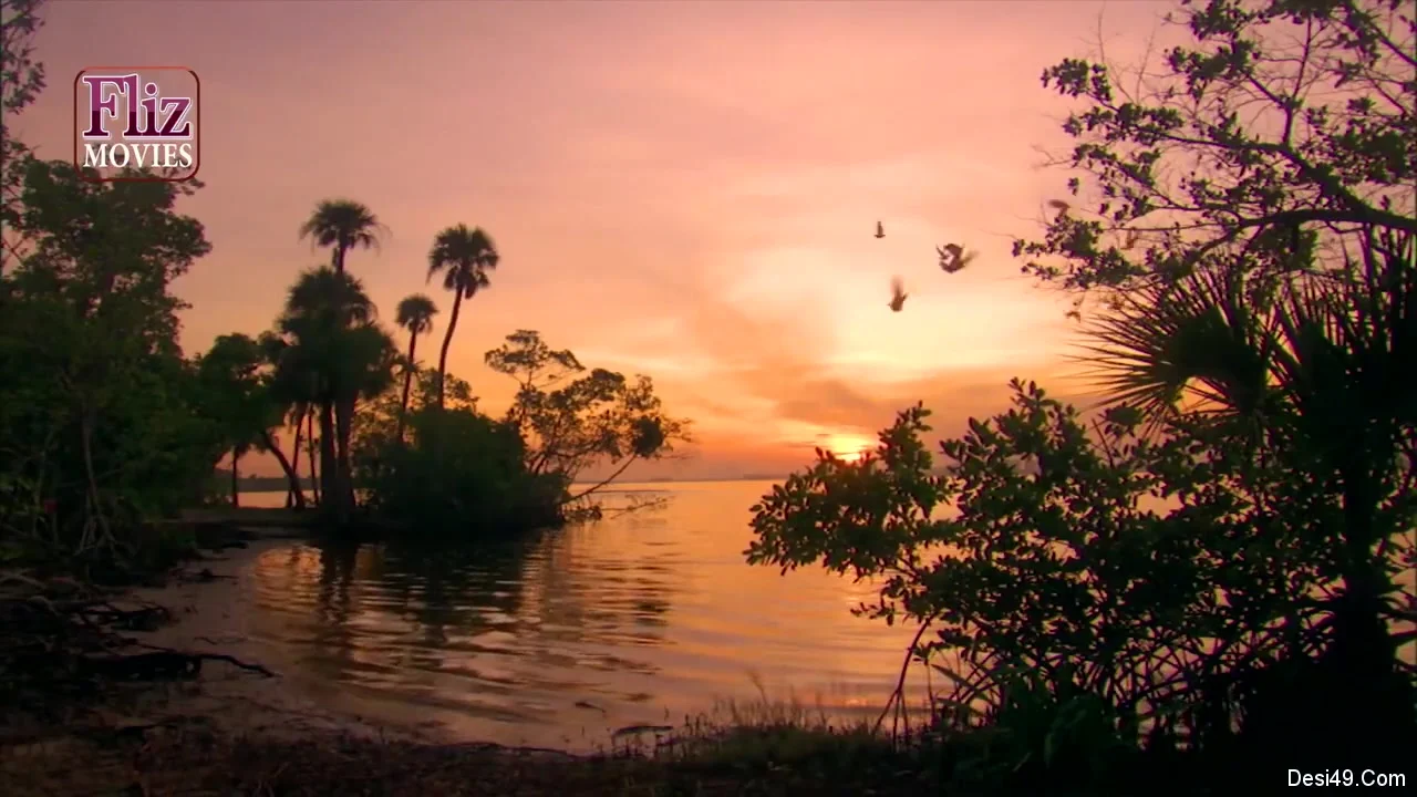 Today Nyt Exclusive- Girlfriend Share Her Lover With Best Friend For Sex