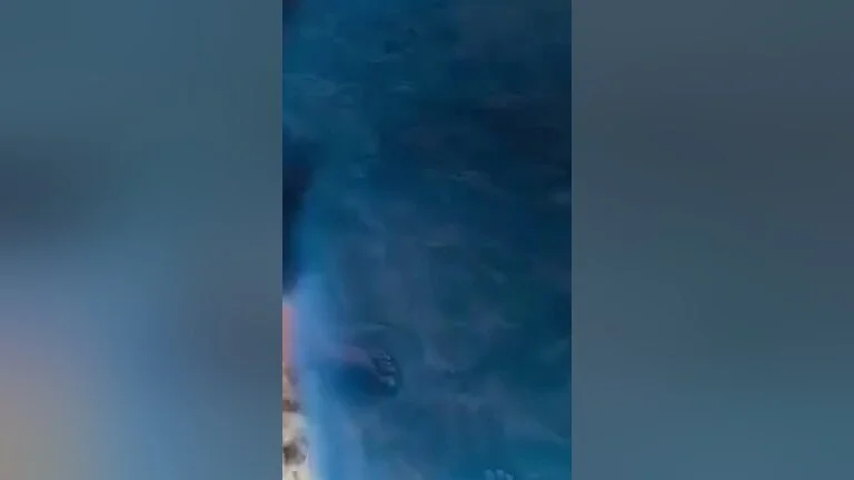 Sri Lankan Real Public Blowjob Public Beach Sex Blacked