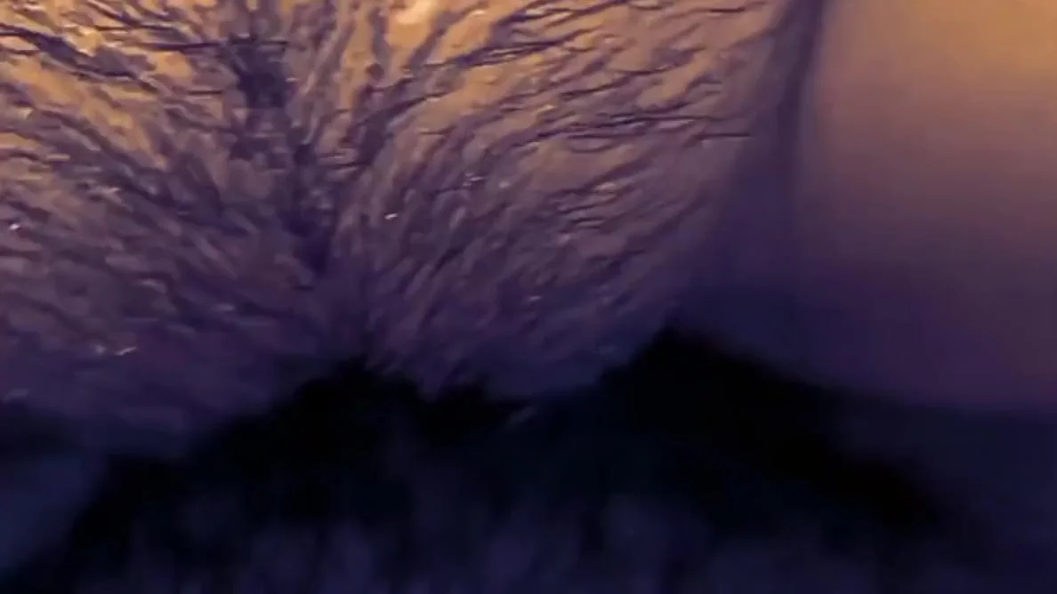 Indian Saree Sexy Bhabhi First Time Hardcore Sex Video