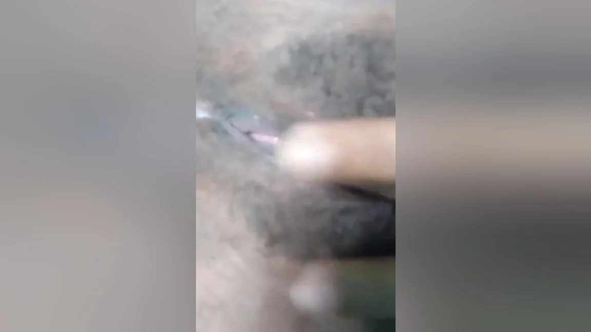 Desi Aunty Fingering Hot Pussy, Clear Audio