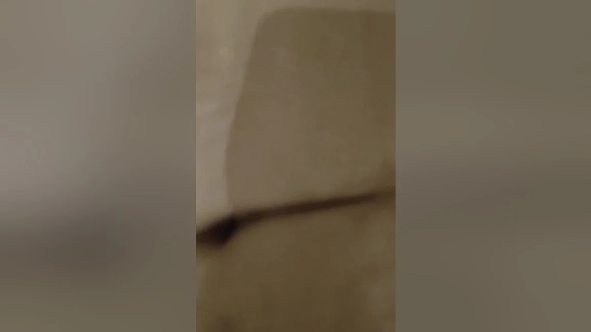 Wow Stepsister-in-law Enjoyed How Long Are You With You In India