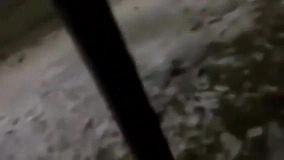 Girlfriend Ko College Ke Washroom M Choda Velentine Par