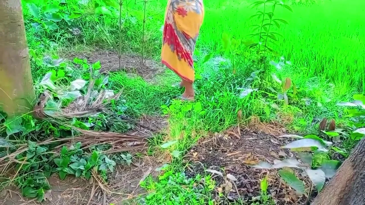 Lokal Bhabhi And Me Outdoor Sex