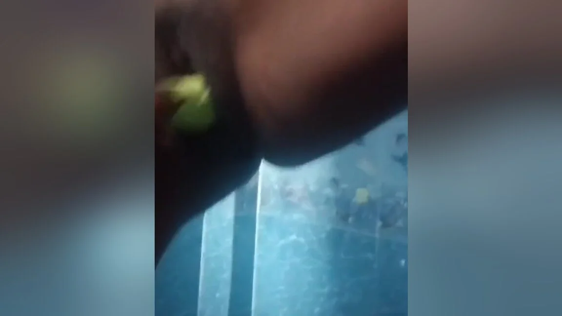 Indian Girls I N 2 Brinjal Fuck