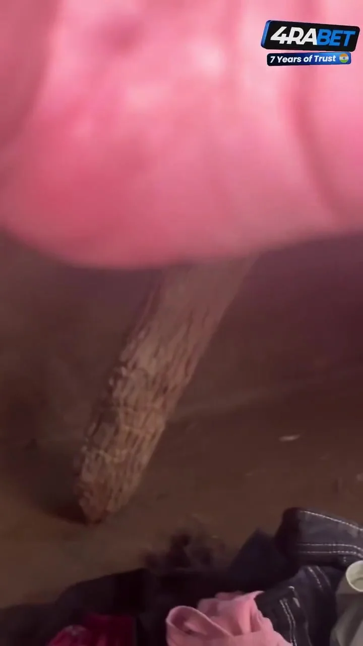 Devar Bhabhi And Verified Amateurs In Stepbrother-in-law Fucked Stepsister-in-law Ne Devar Ka Room Safai Ki Bhane Main Devar Se Sex Kiya