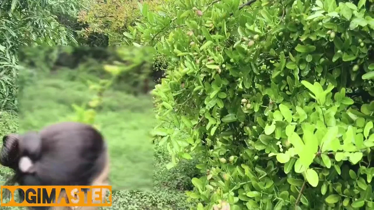 Village Girl Sex In Farm House Enjoy With Birds Sounds