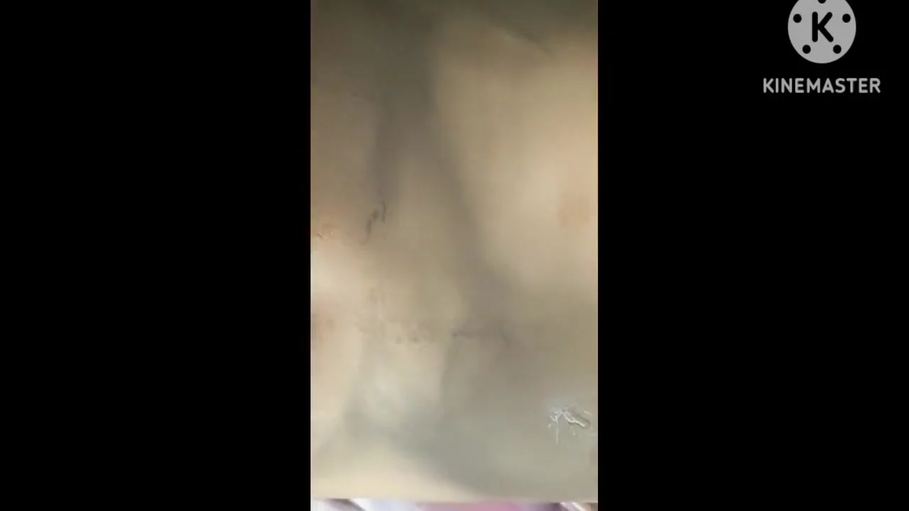 Doggy Style In Jungle