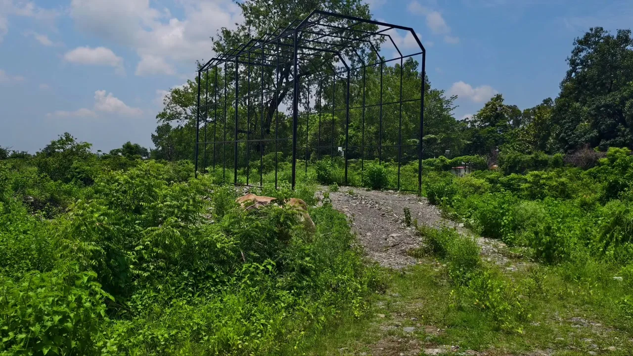 Big Bull In When Husband Is Not At Home, Indian Stepsister-in-law Calls A Bull With A Big Cock - Hindi Audio