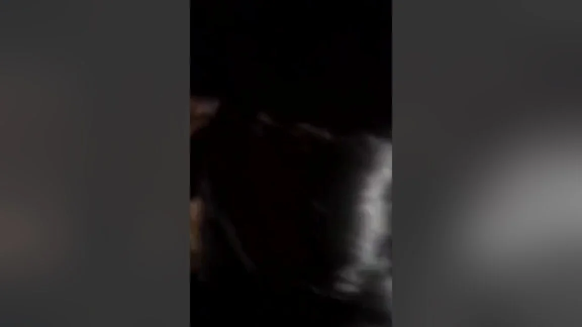 Desi Lover Fucking And Bf Cum On Her Face