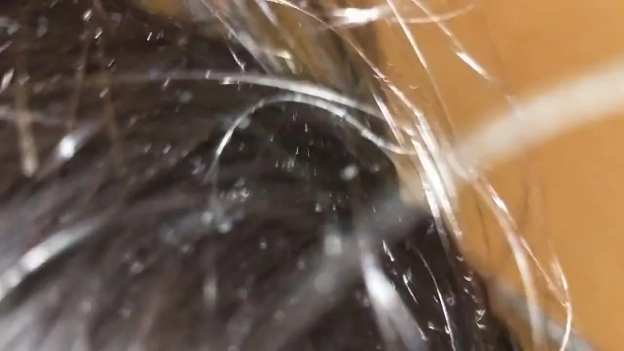 Desi Dogey Style Chudai Bhabhi Ki Hot Video Best Sex Videos