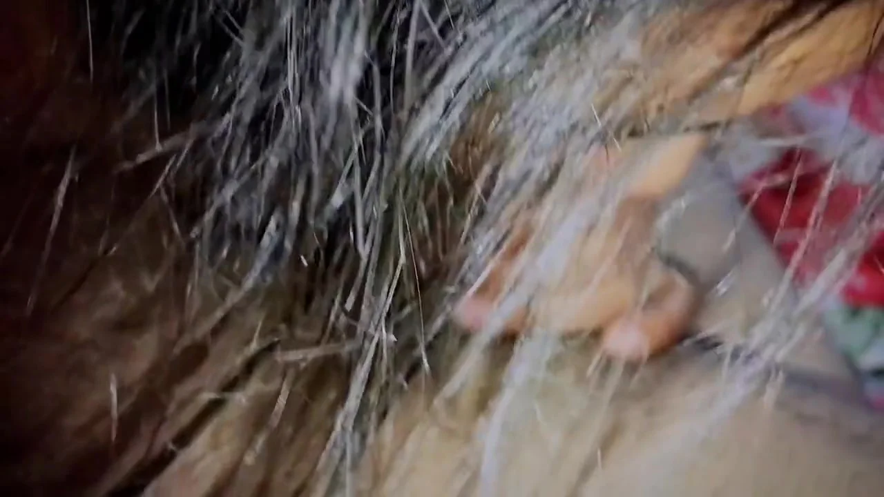 Indian Village Bhabhi Xxx With Farmer In Village House