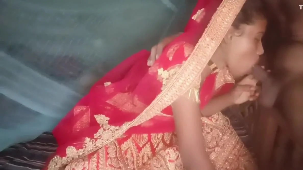 Rani Bhabhi - All Night