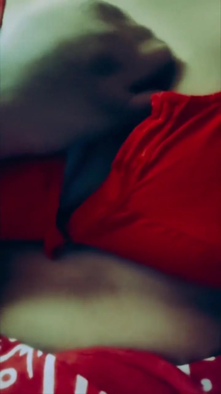 Indian Desi Vhabi With Hot Boobs