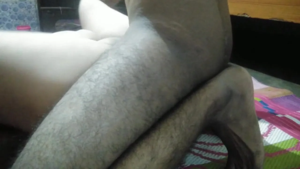 Kiraya Dene K Badle Makan Malik K Ladke Se Chudai Karwayi