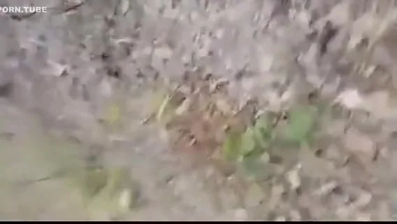 Outdoor Tamil Sex Video Blue Film Of Sex Starved Desi House Wife