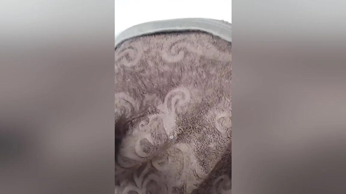 Indian Horny Girl Flashing Big Boobs