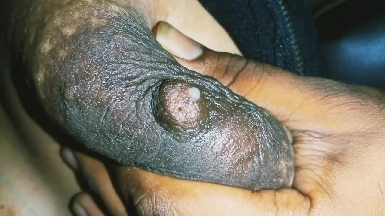 India Mengandung Tetek Bersusu