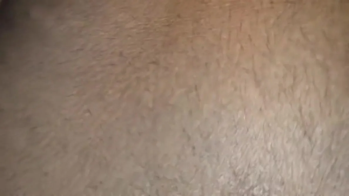 Bhabhi Hot Bhabhi Desi Bhabhi Bhabhi Ki Chudai Indian Bhabhi