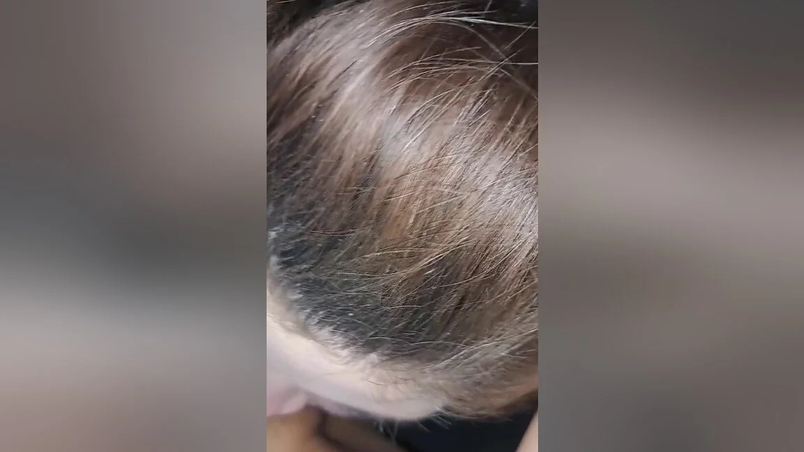 Here Young Latina Getting Her Pussy Ate By Other Native While Both Take Turns Sucking My Dick Good