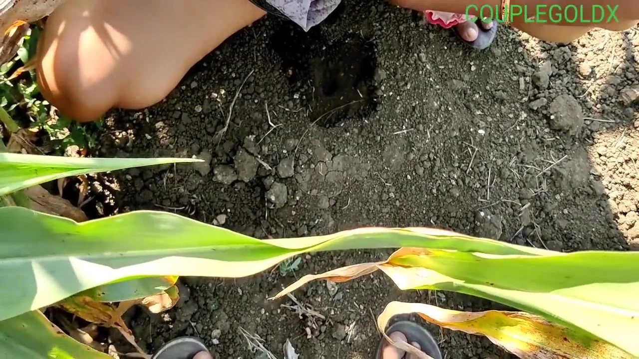 Khet Me Ja Rahi Jawan Ladaki Ko Samajh Ga Aur Kam Ho Gaya