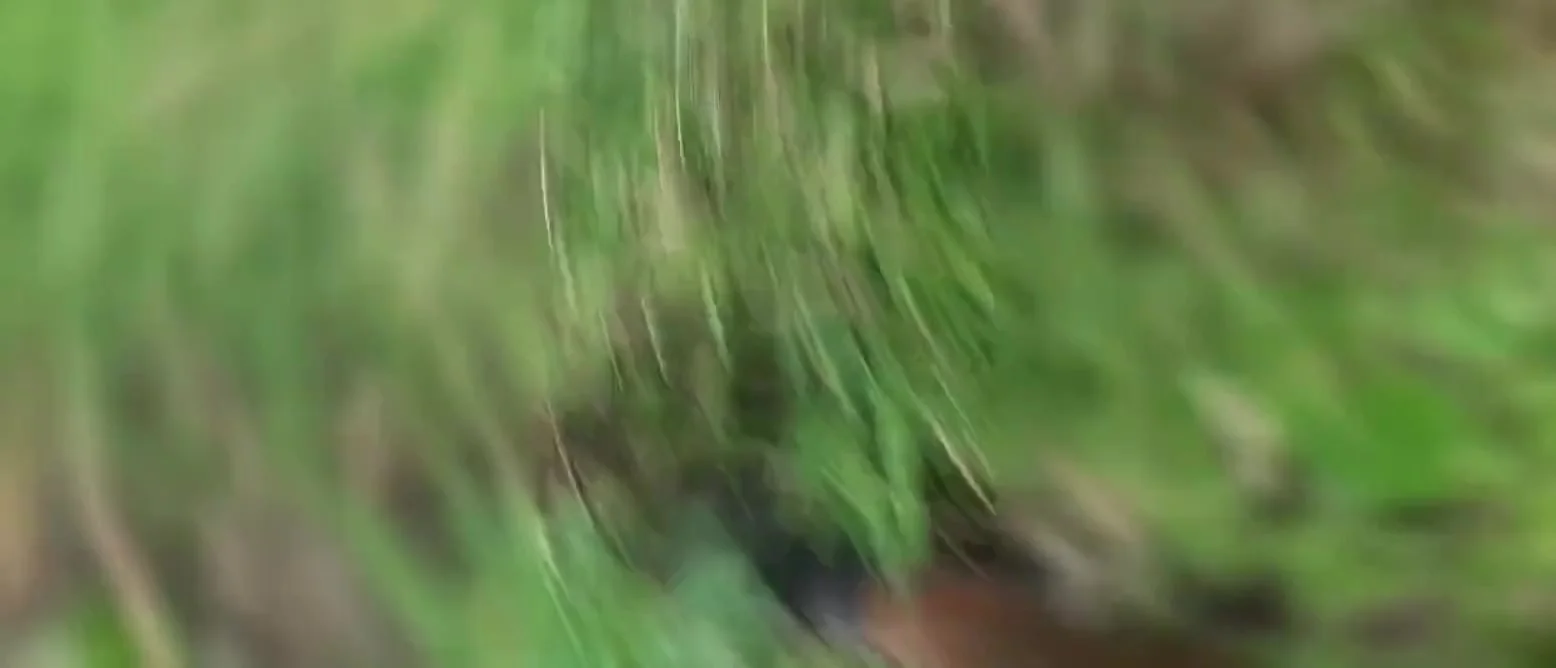 Farmer In Her Ass Watching His Stepdaughter Finger