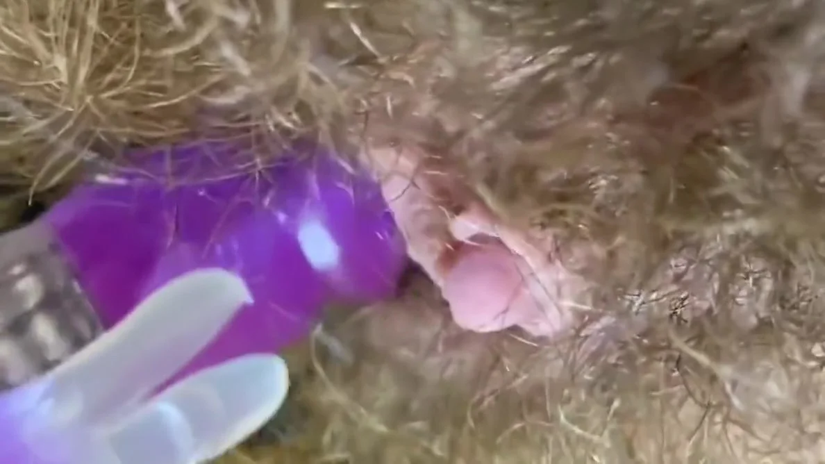 Young Old And His Big Toy