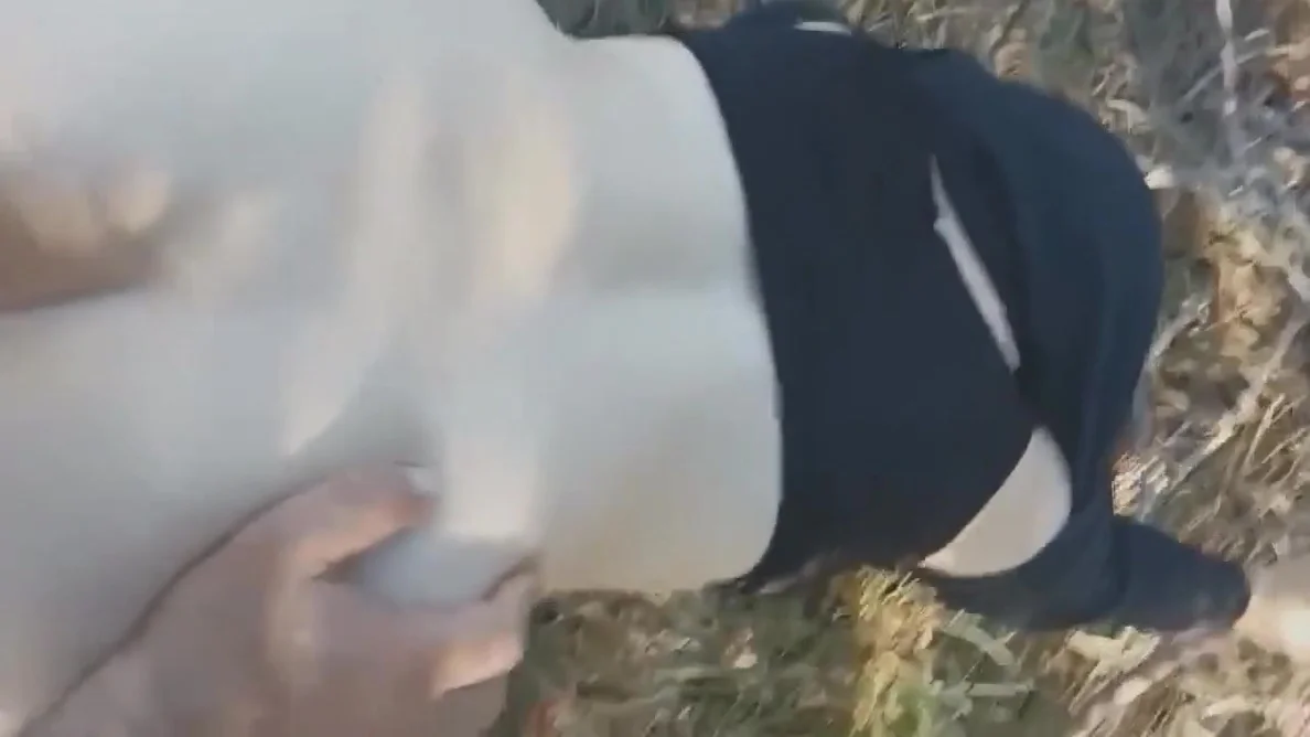 Hard Sex With My Stepsister Public