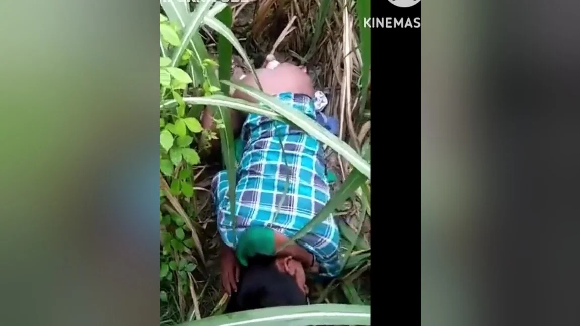 Shilpi Bhabhi Ko Ganne Ke Khet Me Pela - Brooke Fields