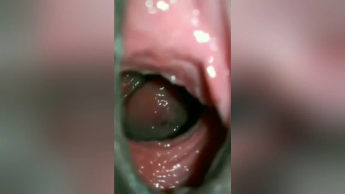 First Time Closeup Watching Inside Vagina With Desi Sex Bhabhi